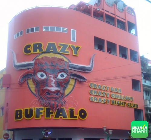Bảng hiệu chữ nổi cho Crazy Buffalo